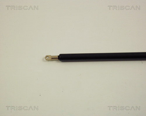 TRISCAN 8710 29102 Gasfeder, Motorhaube