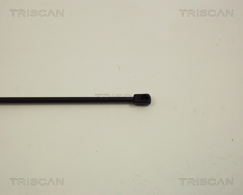TRISCAN 8710 29102 Gasfeder, Motorhaube