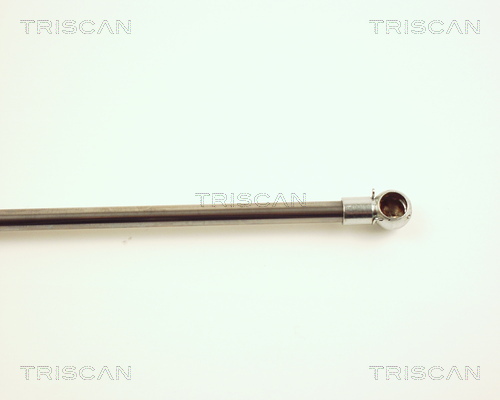 TRISCAN 8710 29104 Gasfeder, Motorhaube