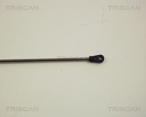 TRISCAN 8710 29105 Gasfeder, Motorhaube