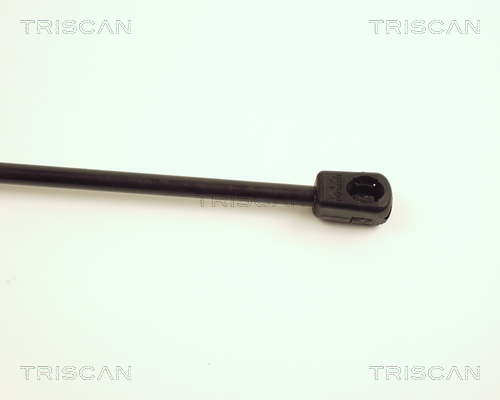 TRISCAN 8710 29106 Gasfeder, Motorhaube