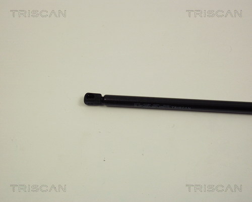 TRISCAN 8710 29107 Gasfeder, Motorhaube
