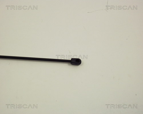 TRISCAN 8710 29107 Gasfeder, Motorhaube