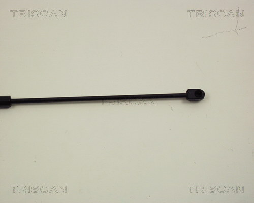 TRISCAN 8710 29109 Gasfeder, Motorhaube