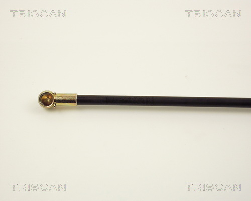 TRISCAN 8710 2910 Gasfjäder, bagageutrymme