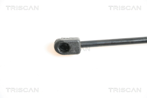 TRISCAN 8710 29112 Gasfeder, Motorhaube