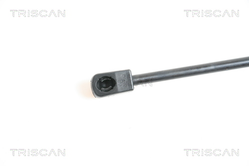 TRISCAN 8710 29114 Gasfeder, Motorhaube