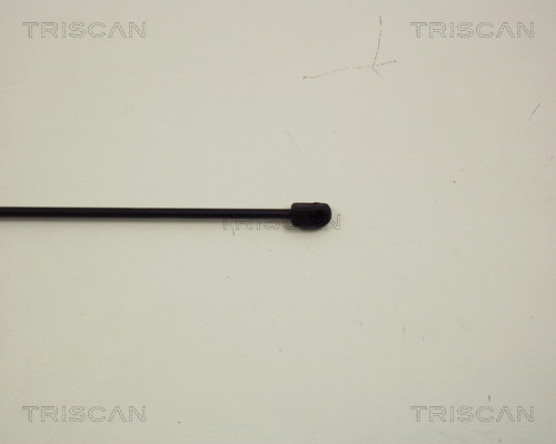 TRISCAN 8710 29117 Gasfeder, Motorhaube