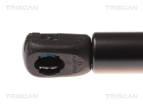 TRISCAN 8710 29119 Gasfeder, Motorhaube
