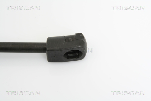 TRISCAN 8710 29125 Gasfeder, Motorhaube