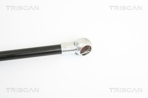 TRISCAN 8710 29126 Gasfeder, Motorhaube