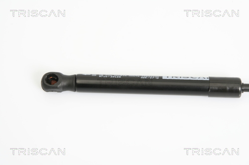 TRISCAN 8710 29128 Gasfeder, Motorhaube
