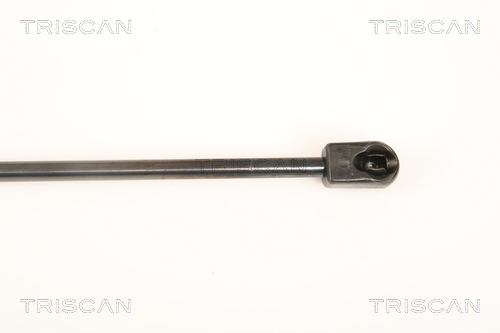 TRISCAN 8710 29132 Gasfeder, Motorhaube