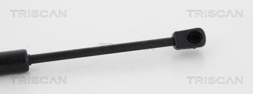 TRISCAN 8710 29134 Gasfeder, Motorhaube
