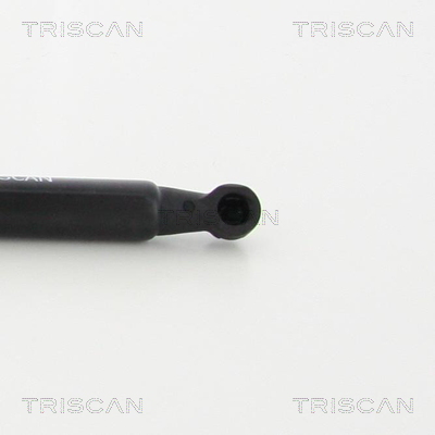 TRISCAN 8710 29137 Gasfeder, Motorhaube
