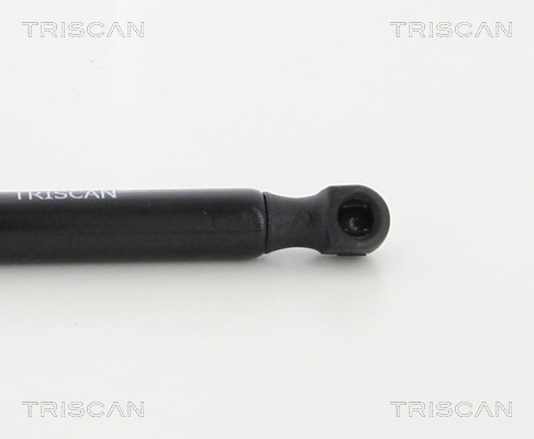 TRISCAN 8710 29140 Gasfeder, Motorhaube