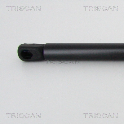 TRISCAN 8710 29145 Gasfeder, Motorhaube