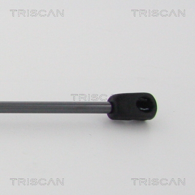 TRISCAN 8710 29145 Gasfeder, Motorhaube
