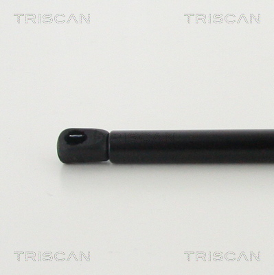 TRISCAN 8710 29146 Gasfeder, Motorhaube