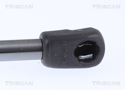 TRISCAN 8710 29150 Gasfeder, Motorhaube
