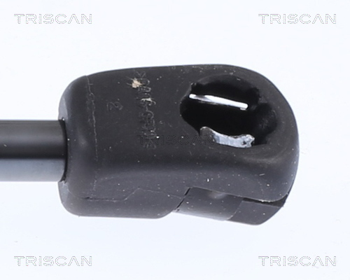 TRISCAN 8710 29152 Gasfeder, Motorhaube