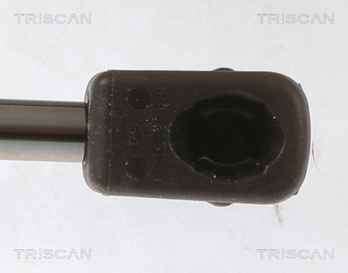 TRISCAN 8710 29155 Gasfeder, Motorhaube