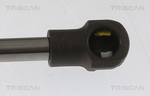 TRISCAN 8710 29157 Gasfeder, Motorhaube
