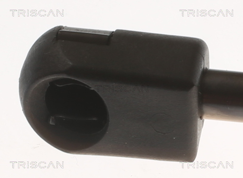 TRISCAN 8710 29159 Gasfeder, Motorhaube