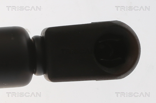 TRISCAN 8710 29159 Gasfeder, Motorhaube