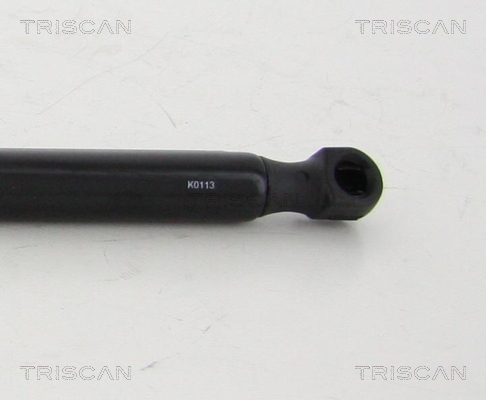 TRISCAN 8710 292004 Gasfjäder, bagageutrymme