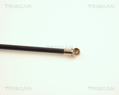TRISCAN 8710 29201 Gasfjäder, bagageutrymme