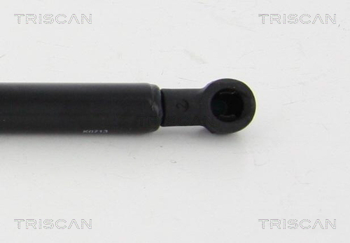 TRISCAN 8710 292023 Gasfjäder, bagageutrymme