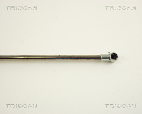 TRISCAN 8710 29202 Gasfjäder, bagageutrymme