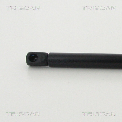 TRISCAN 8710 292038 Gasfjäder, bagageutrymme