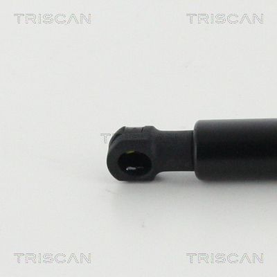 TRISCAN 8710 292040 Gasfjäder, bagageutrymme