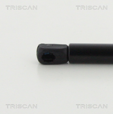 TRISCAN 8710 292042 Gasfjäder, bagageutrymme