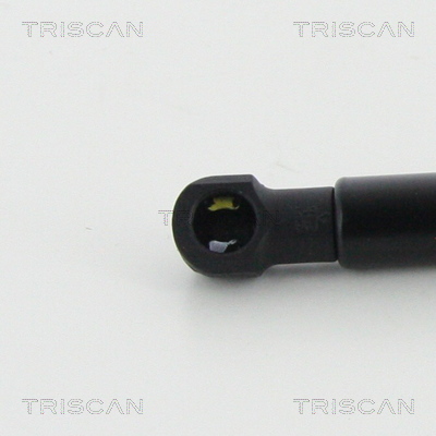 TRISCAN 8710 292045 Gasfjäder, bagageutrymme