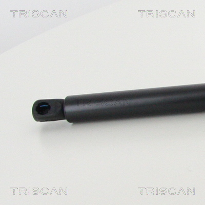 TRISCAN 8710 292048 Gasfjäder, bagageutrymme