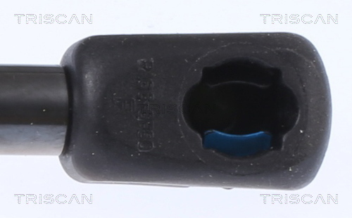 TRISCAN 8710 292066 Gasfjäder, bagageutrymme