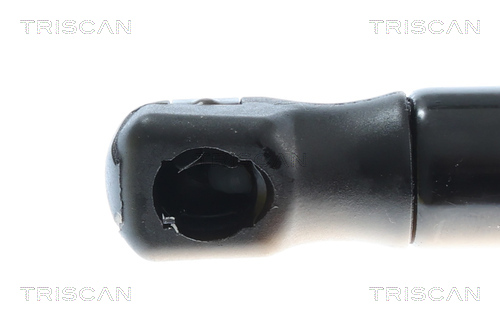 TRISCAN 8710 292079 Gasfeder, Koffer-/Laderaum