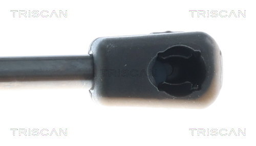 TRISCAN 8710 292079 Gasfeder, Koffer-/Laderaum