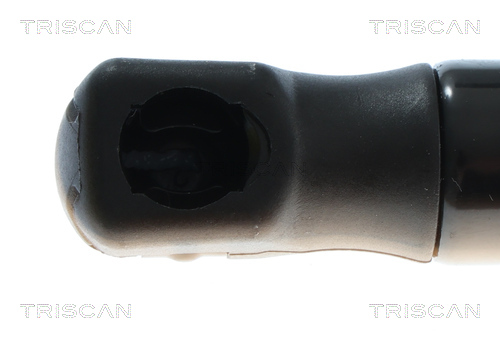 TRISCAN 8710 292081 Gasfeder, Koffer-/Laderaum