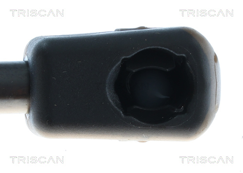 TRISCAN 8710 292081 Gasfeder, Koffer-/Laderaum
