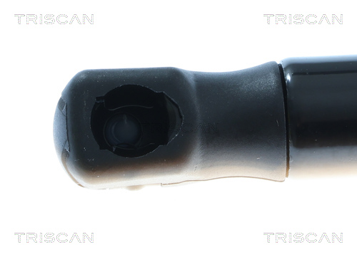 TRISCAN 8710 292082 Gasfeder, Koffer-/Laderaum