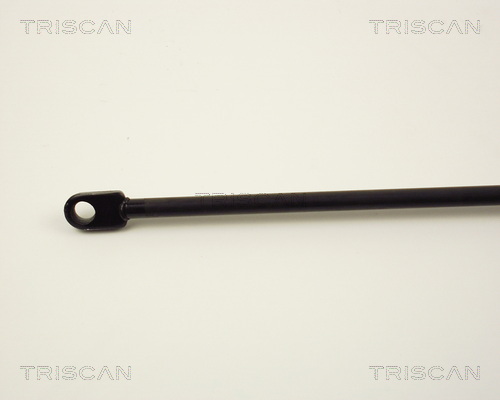 TRISCAN 8710 2920 Gasfjäder, bagageutrymme