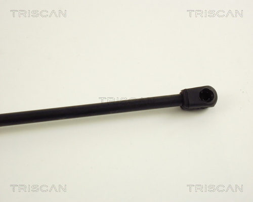 TRISCAN 8710 29213 Gasfjäder, bagageutrymme