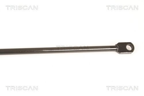 TRISCAN 8710 29216 Gasfjäder, bagageutrymme