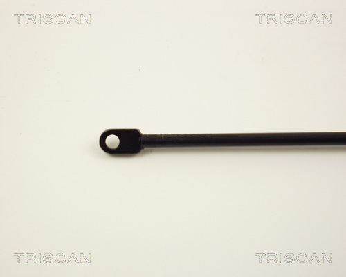 TRISCAN 8710 2921 Gasfjäder, bagageutrymme