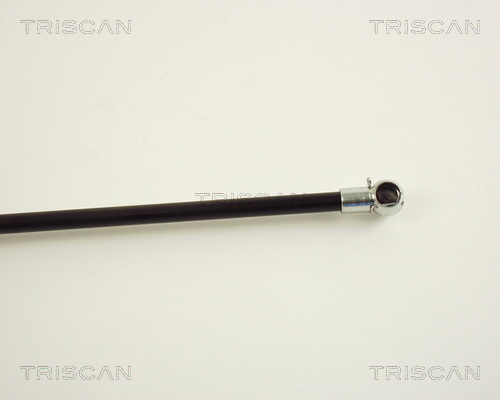 TRISCAN 8710 29227 Gasfjäder, bagageutrymme