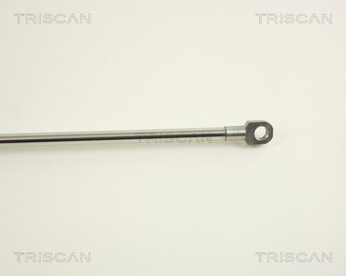 TRISCAN 8710 29229 Gasfjäder, bagageutrymme